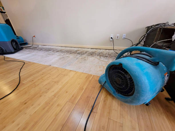 Professional Water Extraction technician working in Jackson, MN